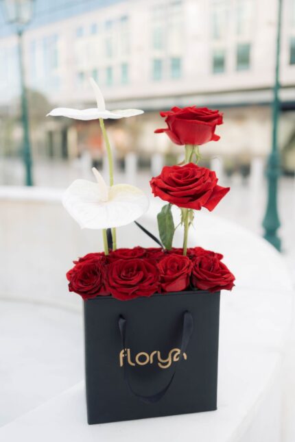 Florya soft whisper - 2