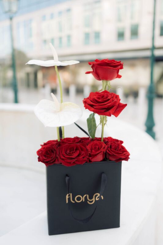 Florya soft whisper - 2